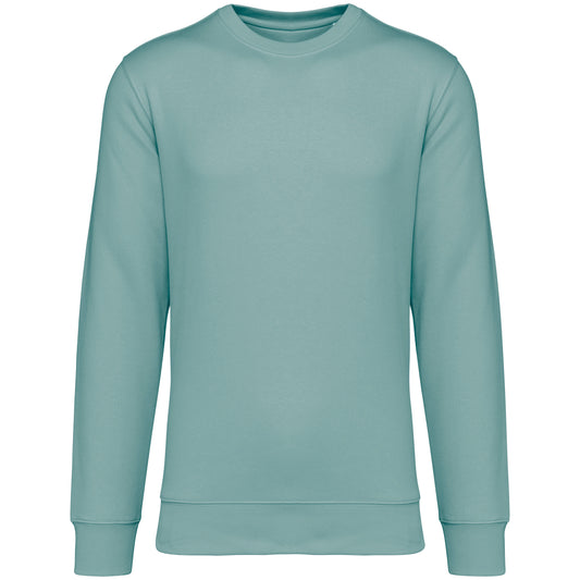 It Fits Assist - Unisex Regular Fit Sweater - Heavyweight - Soft Touch - Burma Jade