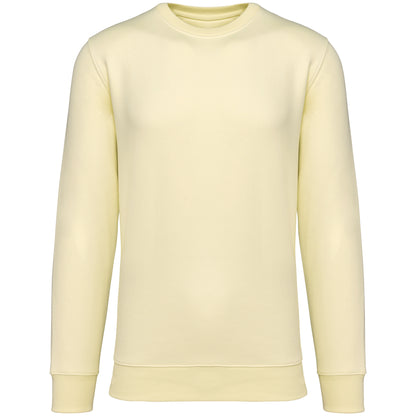 It Fits Assist - Pull unisexe coupe standard - Épais - Doux au toucher - Agrumes