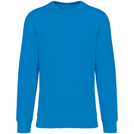 It Fits Assist - Unisex Regular Fit Sweater - Heavyweight - Soft Touch - Capri Blue